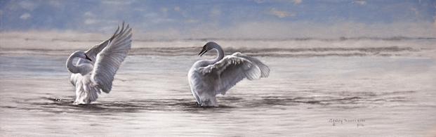 Dance of the Swans